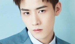 最新爆料任豪事件视频播放,真相与争议再引热议